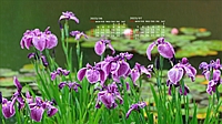 2023N06J_[ǎ008