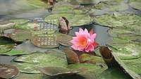 2023N06J_[ǎ011