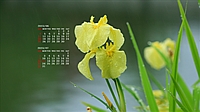 2023N06J_[ǎ019