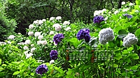 2023N06J_[ǎ025