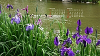 2023N06J_[ǎ026