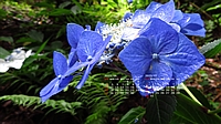 2023N06J_[ǎ027