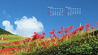 202309009.jpg