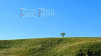 202309019.jpg