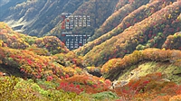 2023N10J_[ǎ005