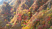 2023N10J_[ǎ006