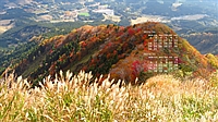 2023N10J_[ǎ017