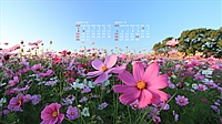 2023N10J_[ǎ019