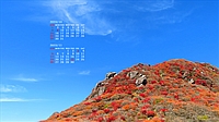 2023N10J_[ǎ024