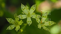 2023N10J_[ǎ026