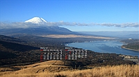 202312006.jpg