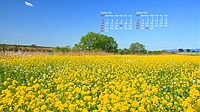 202503007.jpg