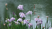 202506005.jpg