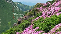 202506012.jpg