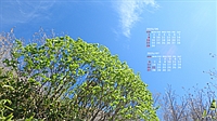 202506020.jpg