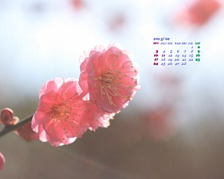 J_[ǎ004