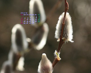 J_[ǎ005