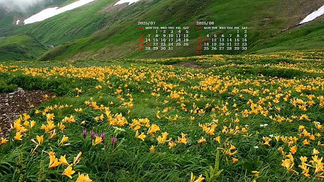 202507013.jpg