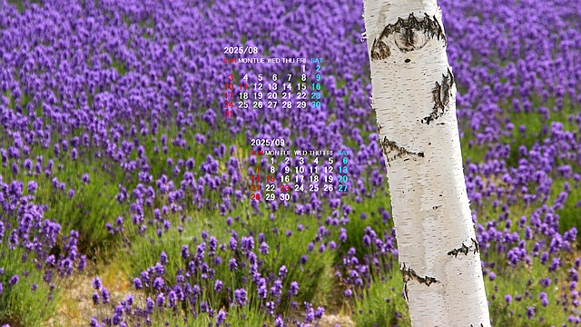 202508008.jpg