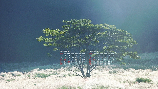 202509004.jpg