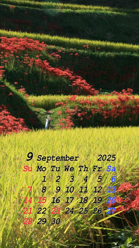 2025N9X}zpJ_[ǎ01