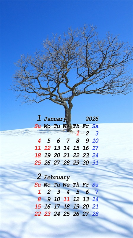 2026�N01���X�}�z�p�J�����_�[�ǎ�01