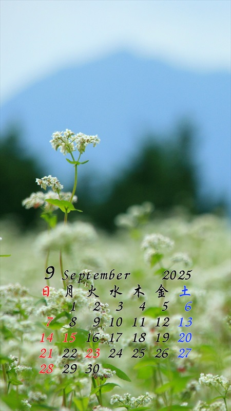2025N9X}zpJ_[ǎ02