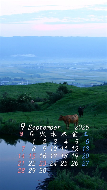 2025N9X}zpJ_[ǎ04