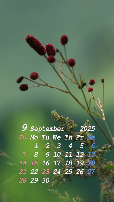 2025N9X}zpJ_[ǎ05
