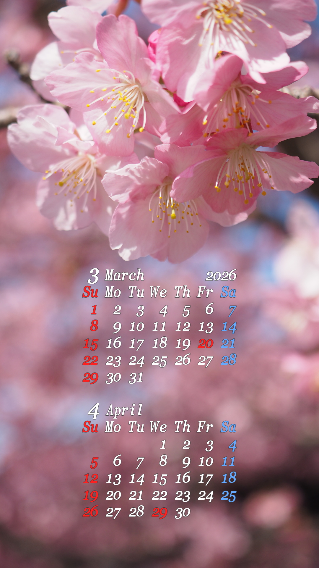 2026�N03���X�}�z�J�����_�[�ǎ�08