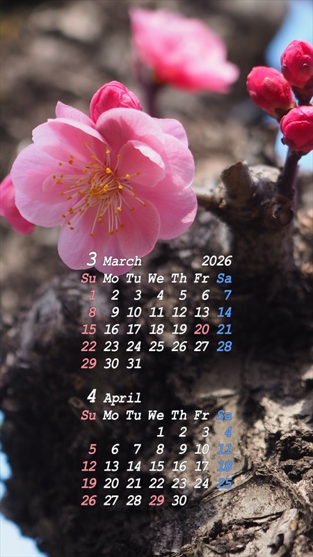 2026�N03���X�}�z�p�J�����_�[�ǎ�02