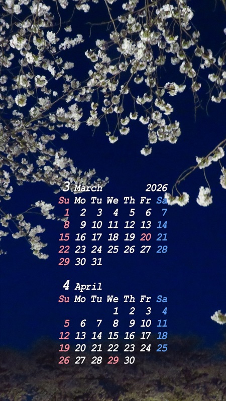 2026�N03���X�}�z�p�J�����_�[�ǎ�03