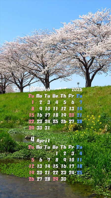 2026�N03���X�}�z�p�J�����_�[�ǎ�04