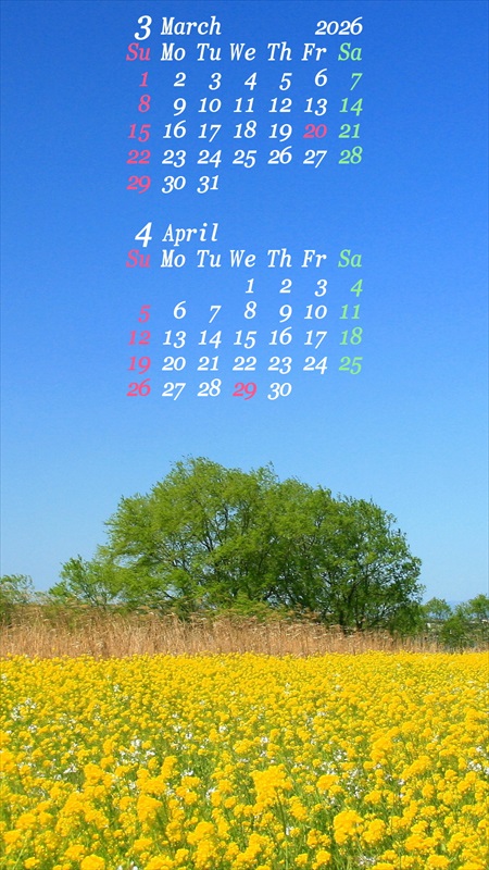 2026�N03���X�}�z�p�J�����_�[�ǎ�05