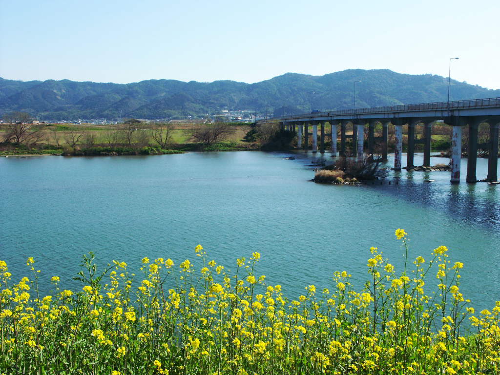 無料壁紙写真素材集 3月 春 花 菜の花 川 筑後川