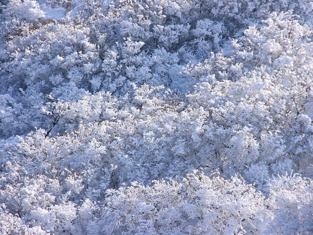 無料壁紙写真素材集 1月 冬 山岳 九重 星生山 登山 雪景色