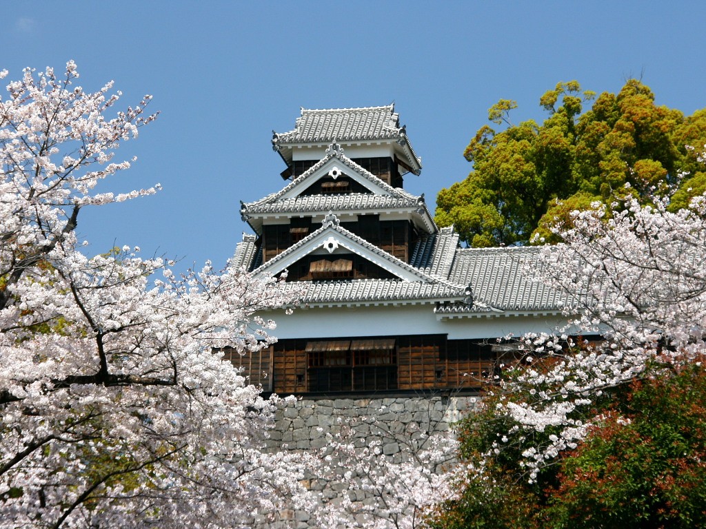 無料壁紙 無料素材 熊本城 桜 青空 加藤清正