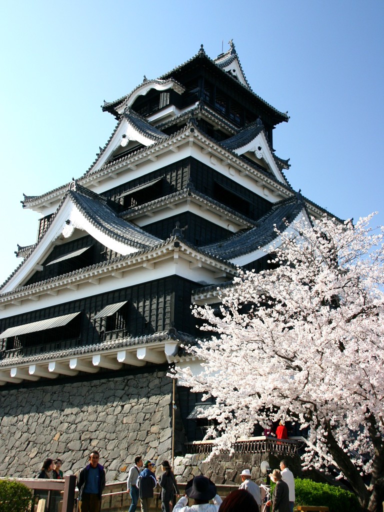 無料壁紙 無料素材 熊本城 桜 青空 夜景 ライトアップ