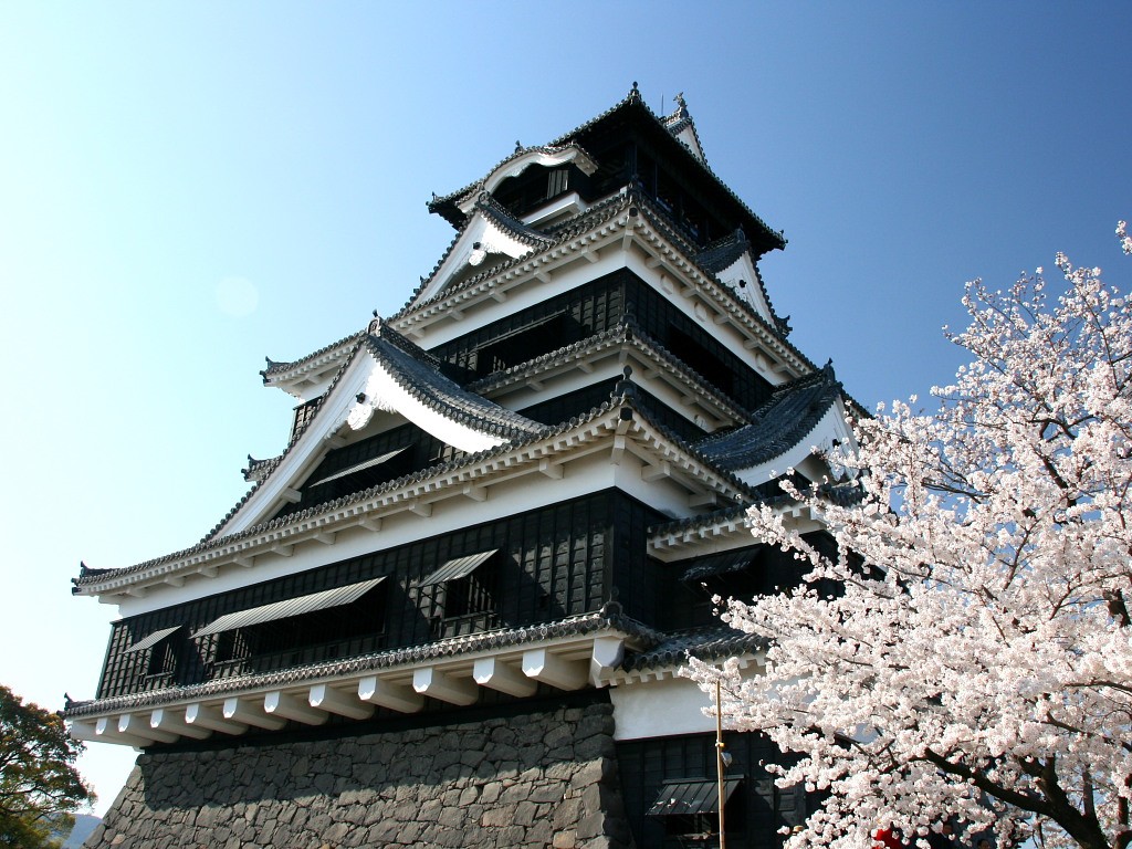 無料壁紙 無料素材 熊本城 桜 青空 夜景 ライトアップ