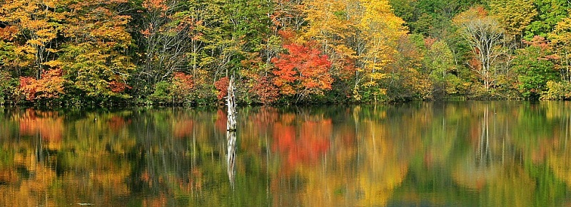 鏡池 戸隠高原 の紅葉