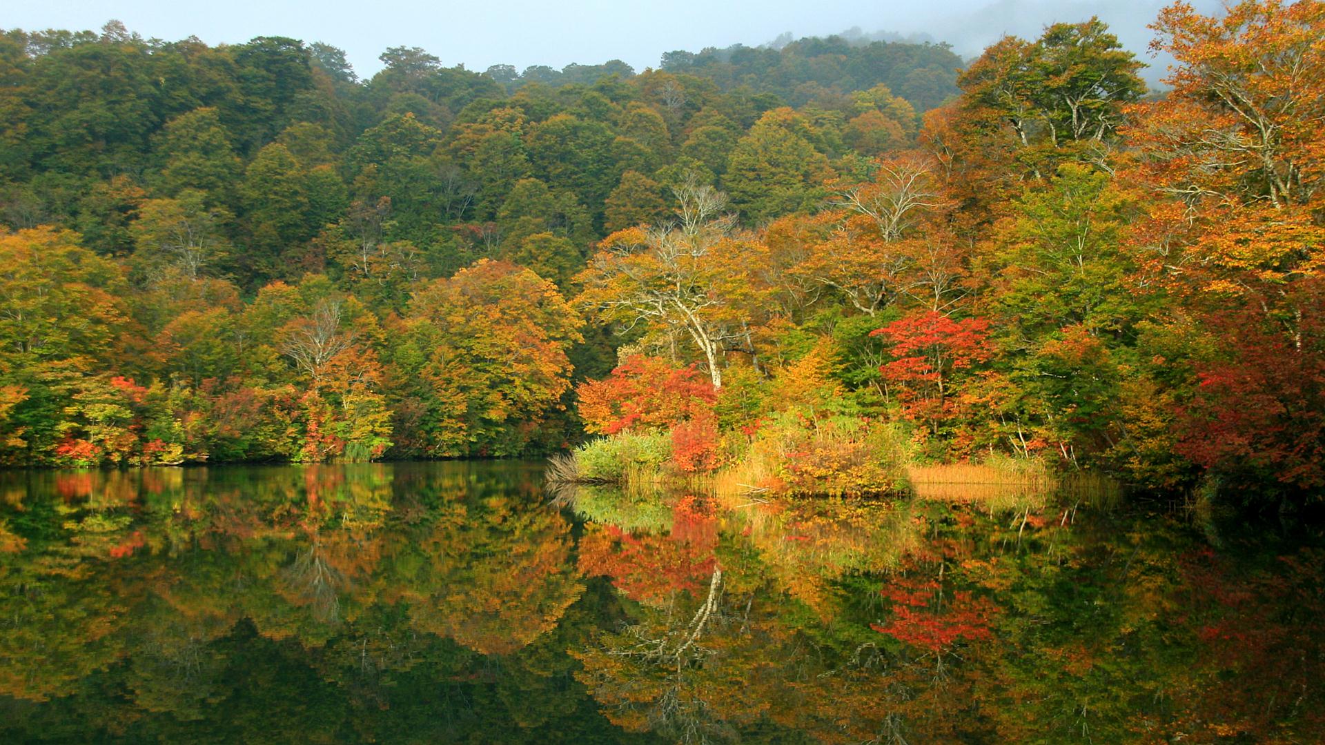 雨飾高原 鎌池の紅葉 長野県