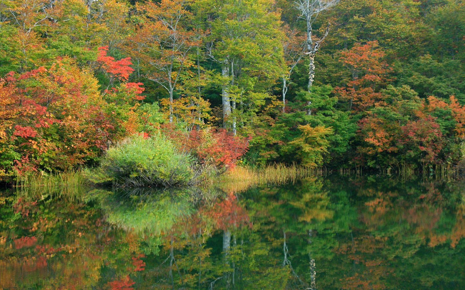 雨飾高原 鎌池の紅葉 長野県