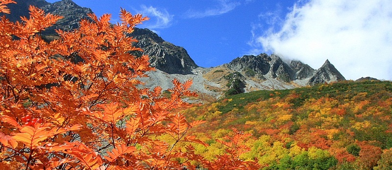 涸沢カールの紅葉 絶景 北アルプス涸沢の紅葉5