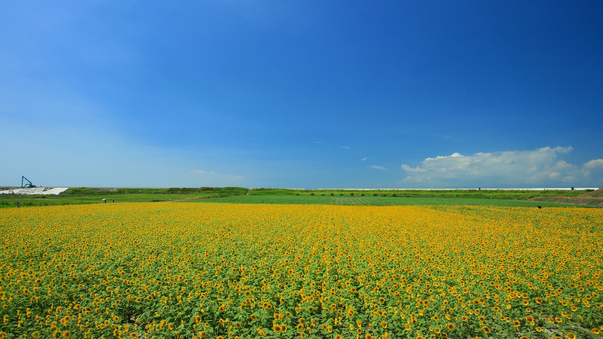 無料壁紙写真素材集 自然と風景