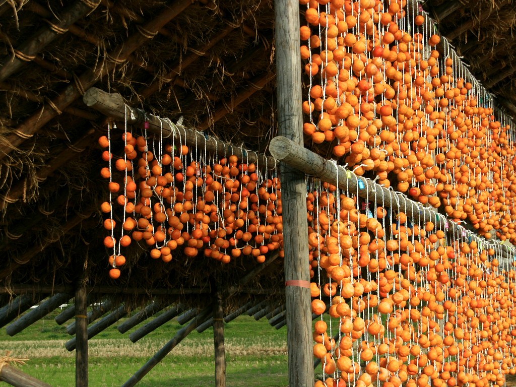 12996.jpg