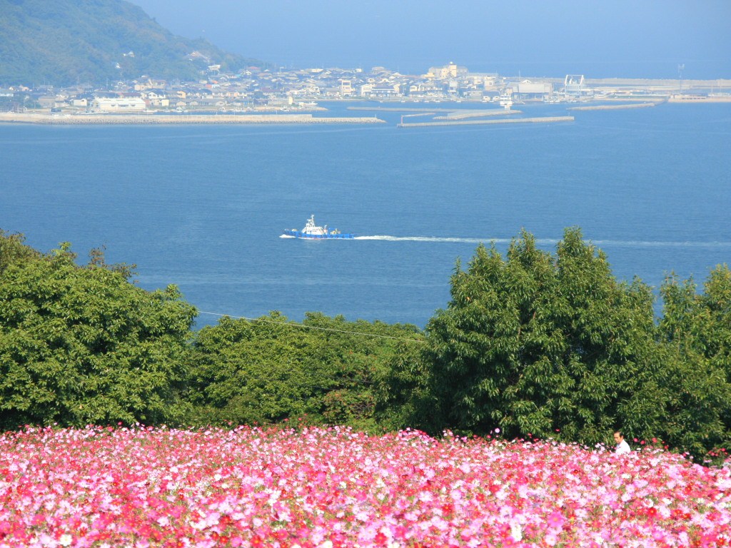 12898.jpg
