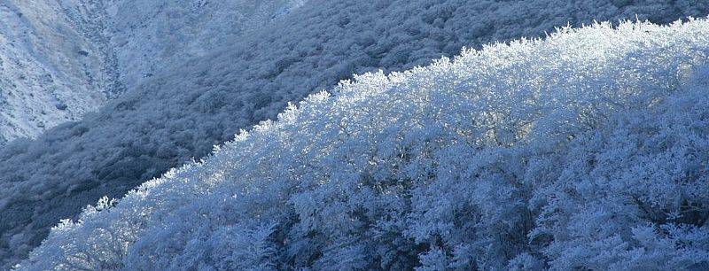 青空と樹氷と雪山 九重連山