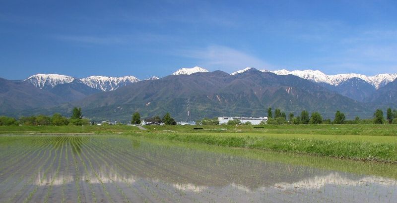 残雪の北アルプス山麓 安曇野 大町 田園 田植え