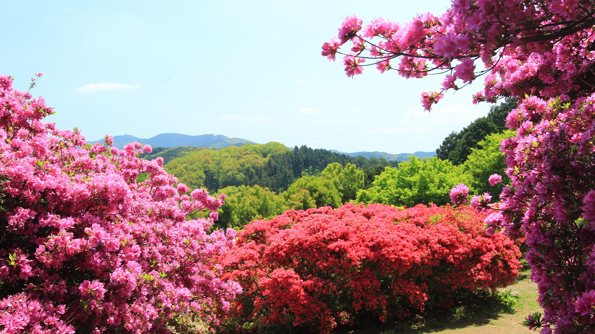 無料壁紙写真素材集 自然と風景